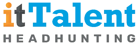 IT Hunter